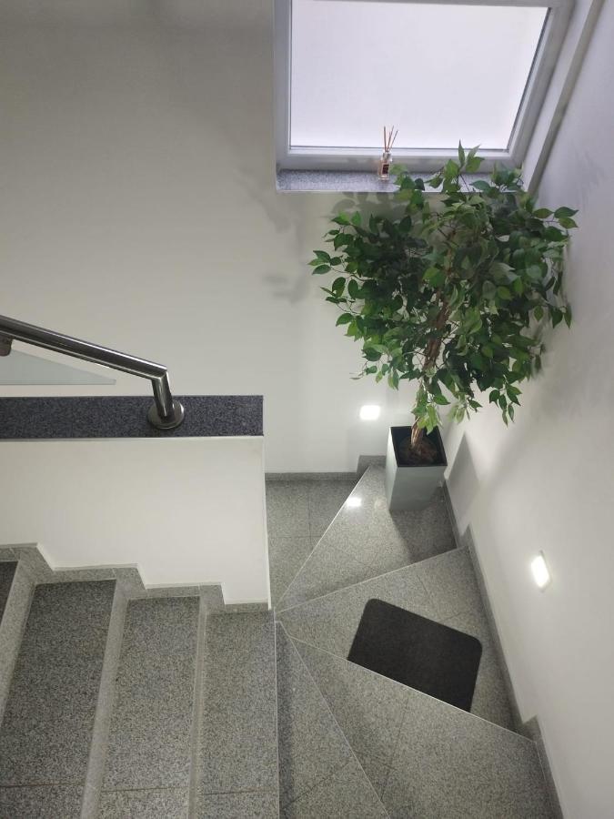 Apartman Lucano Bibinje Exteriér fotografie